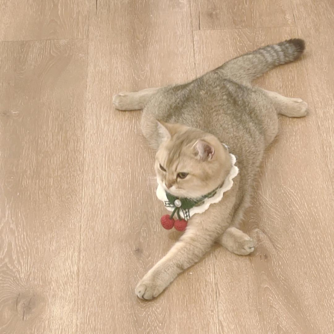 Z的氦气球不起球