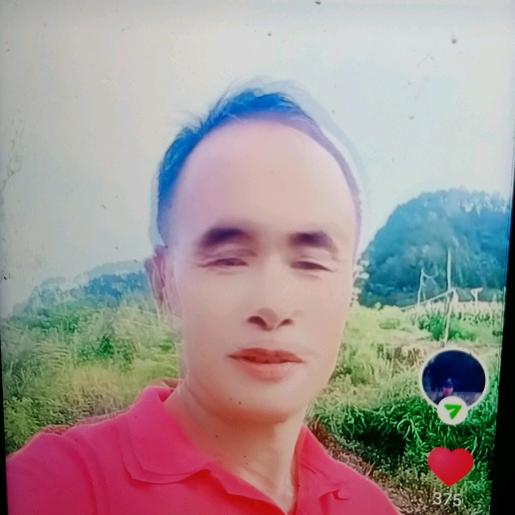 蓝莓管护