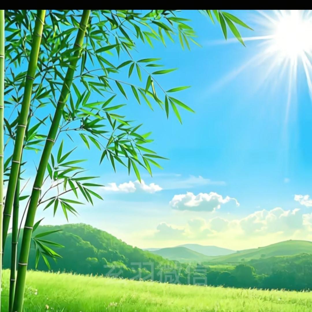 🌸好心情