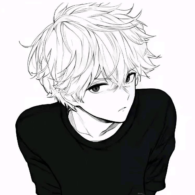小赵🌪