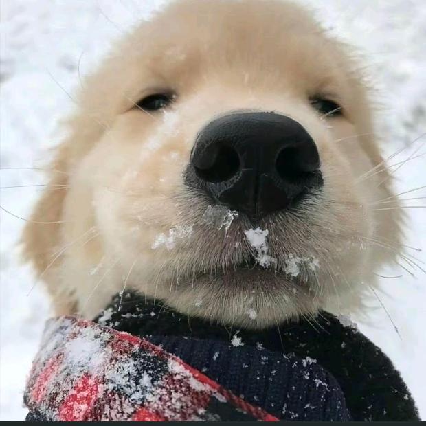 A_