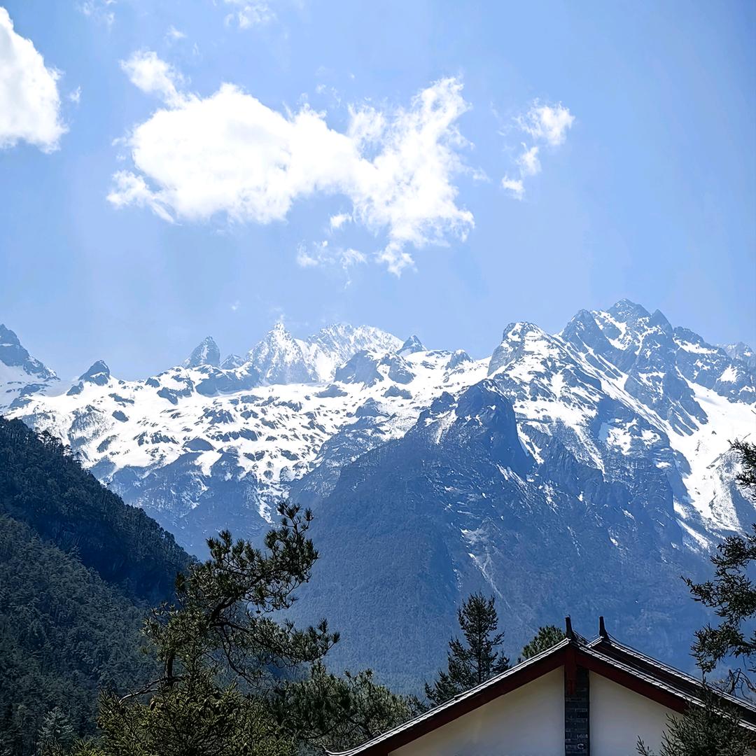 🌈✨鸿运当头✨🌈
