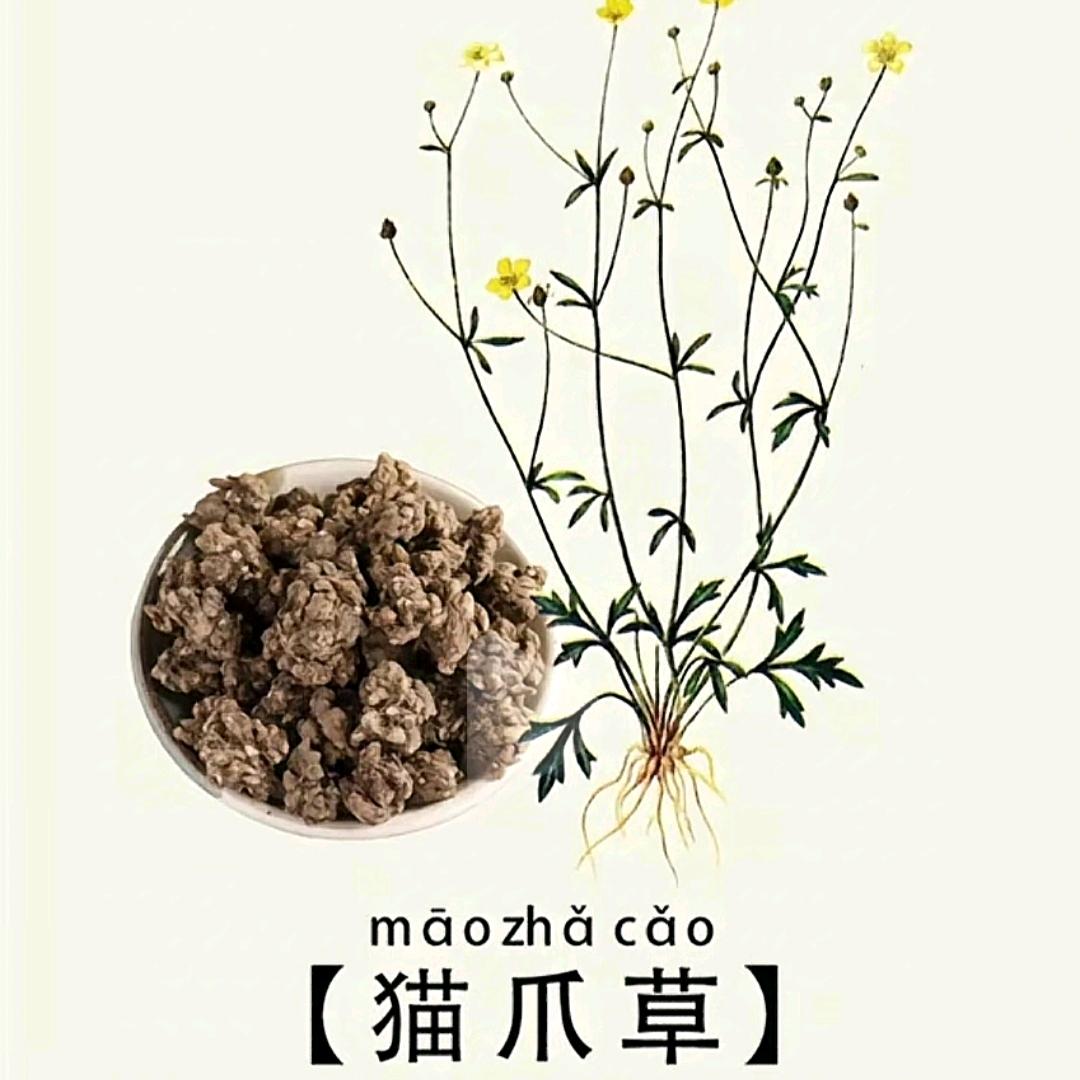 你是🐷吗❤️