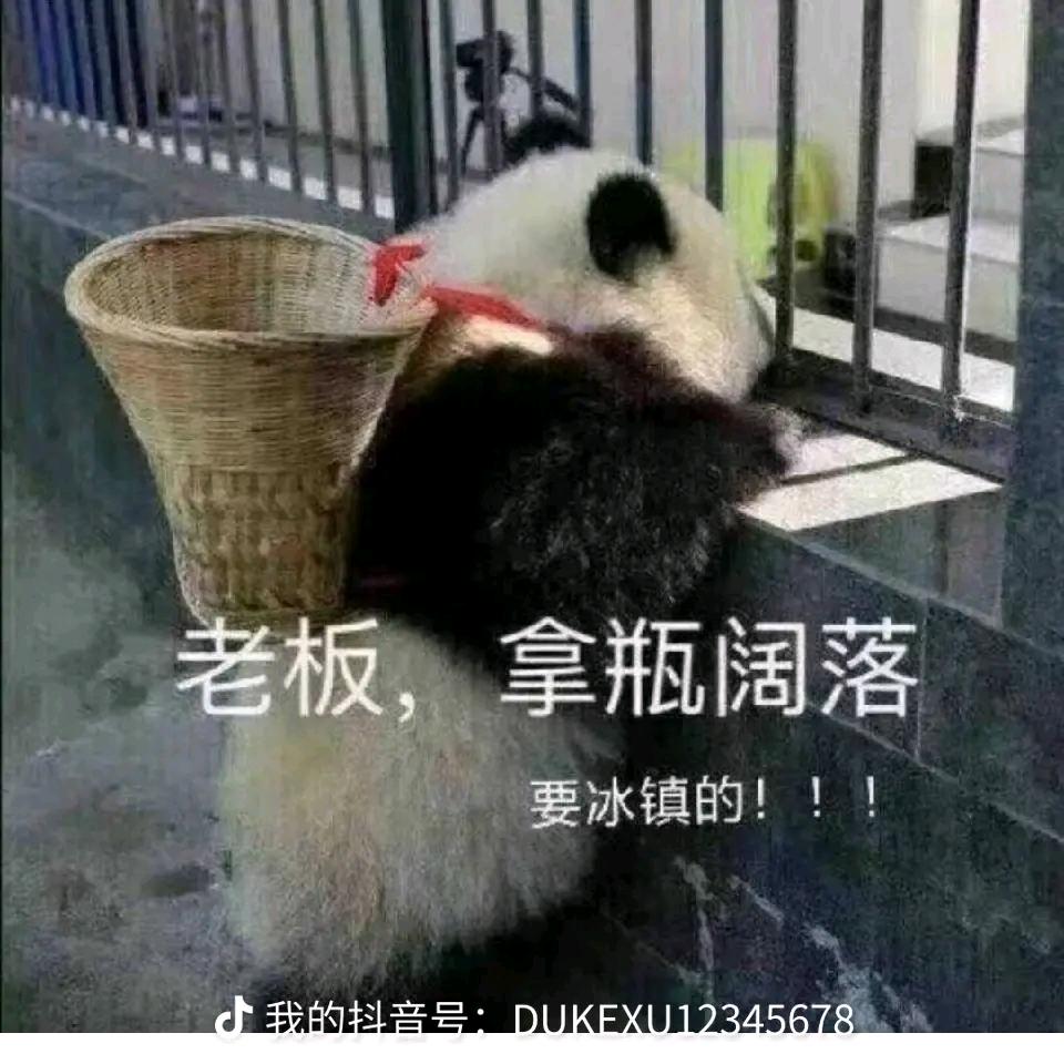G镇房顶撩妹子头像