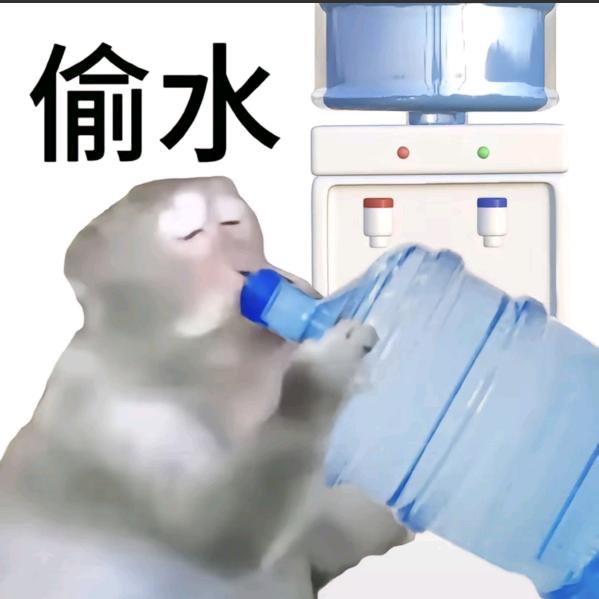 是小琪呀