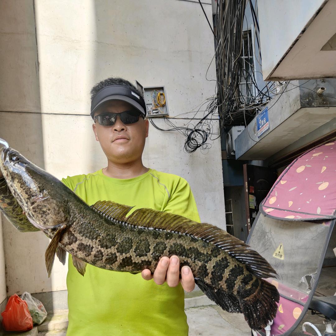 奈何桥上🎣甩两竿🎣🎏（路亚雷强）