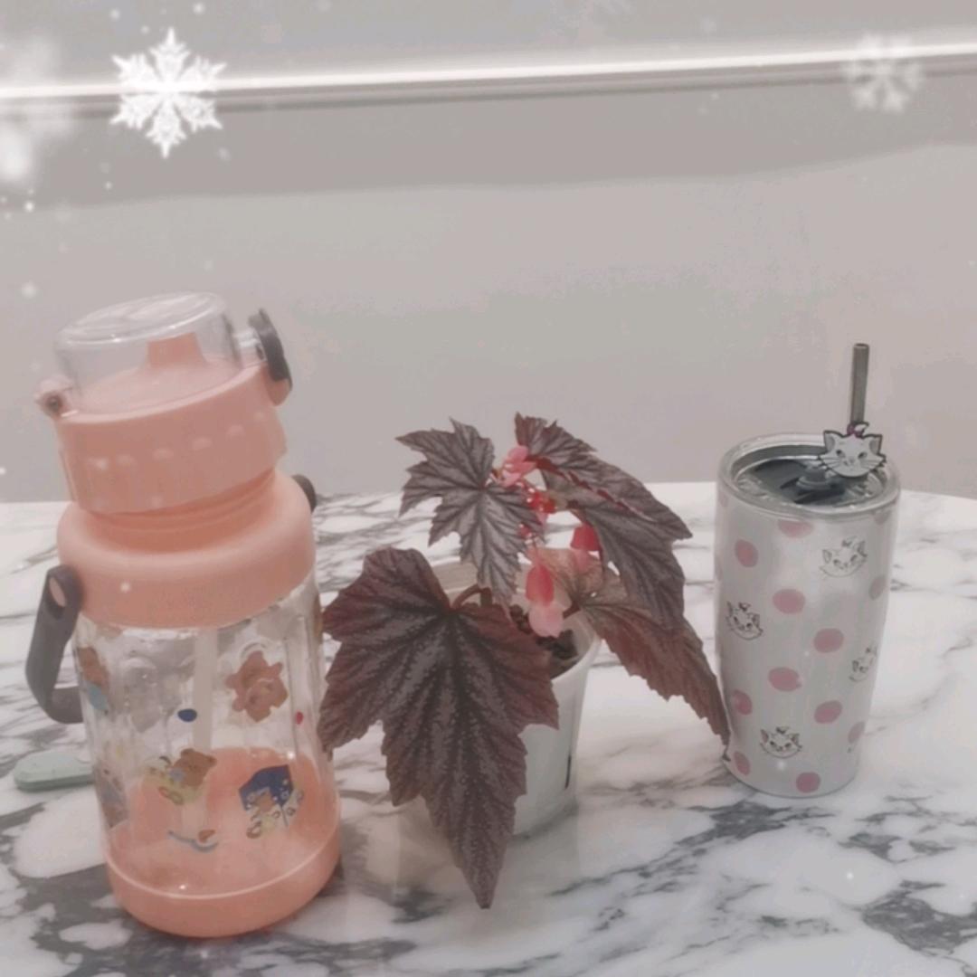 飘洋过海