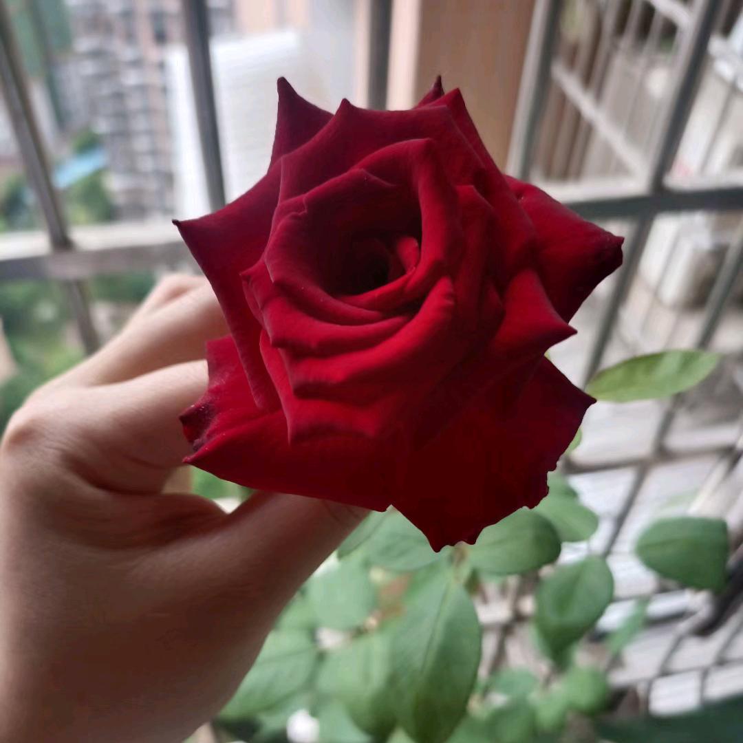 做不到🌸就别跟我谈永远💐