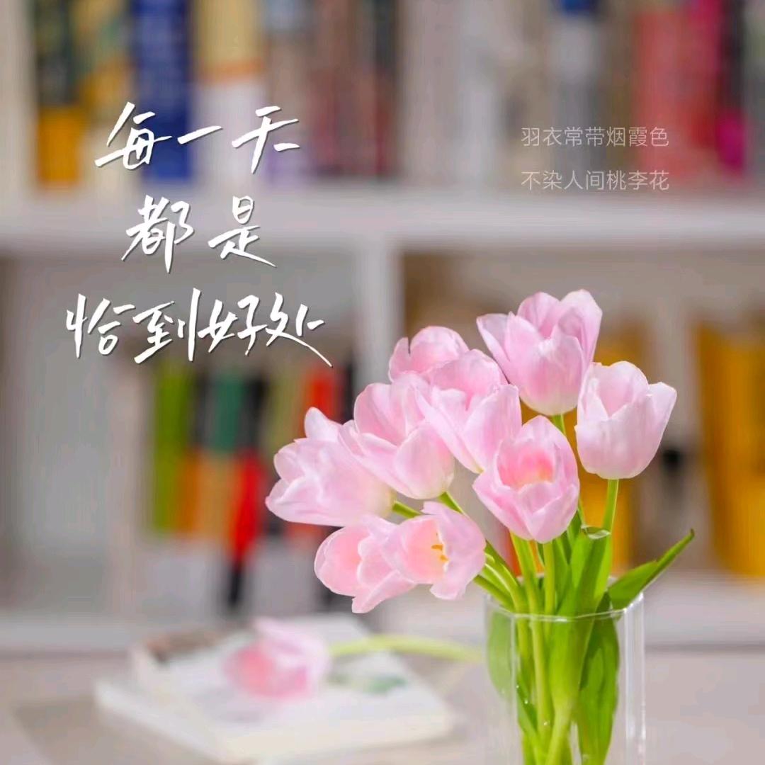 开心就好111