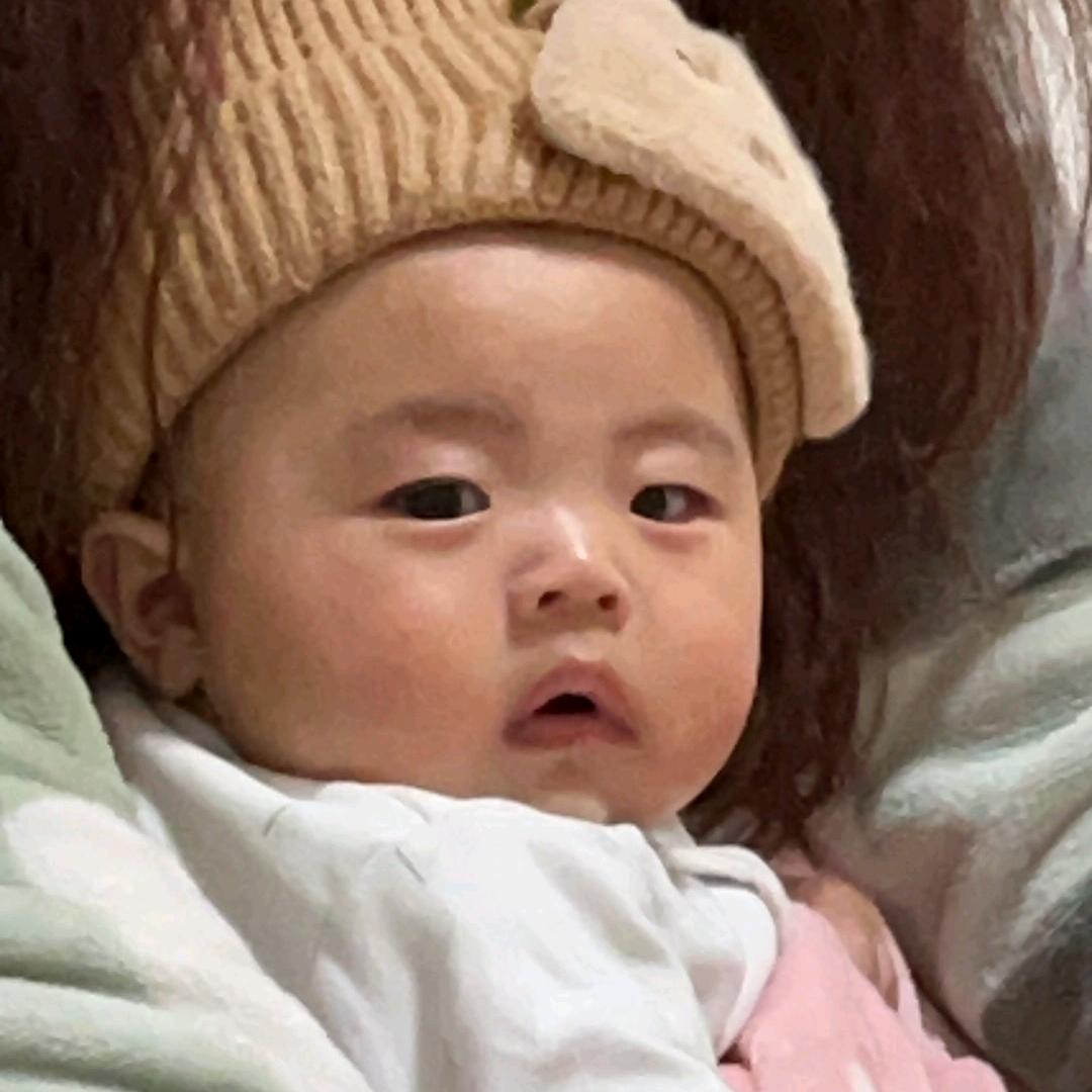 自由飞翔