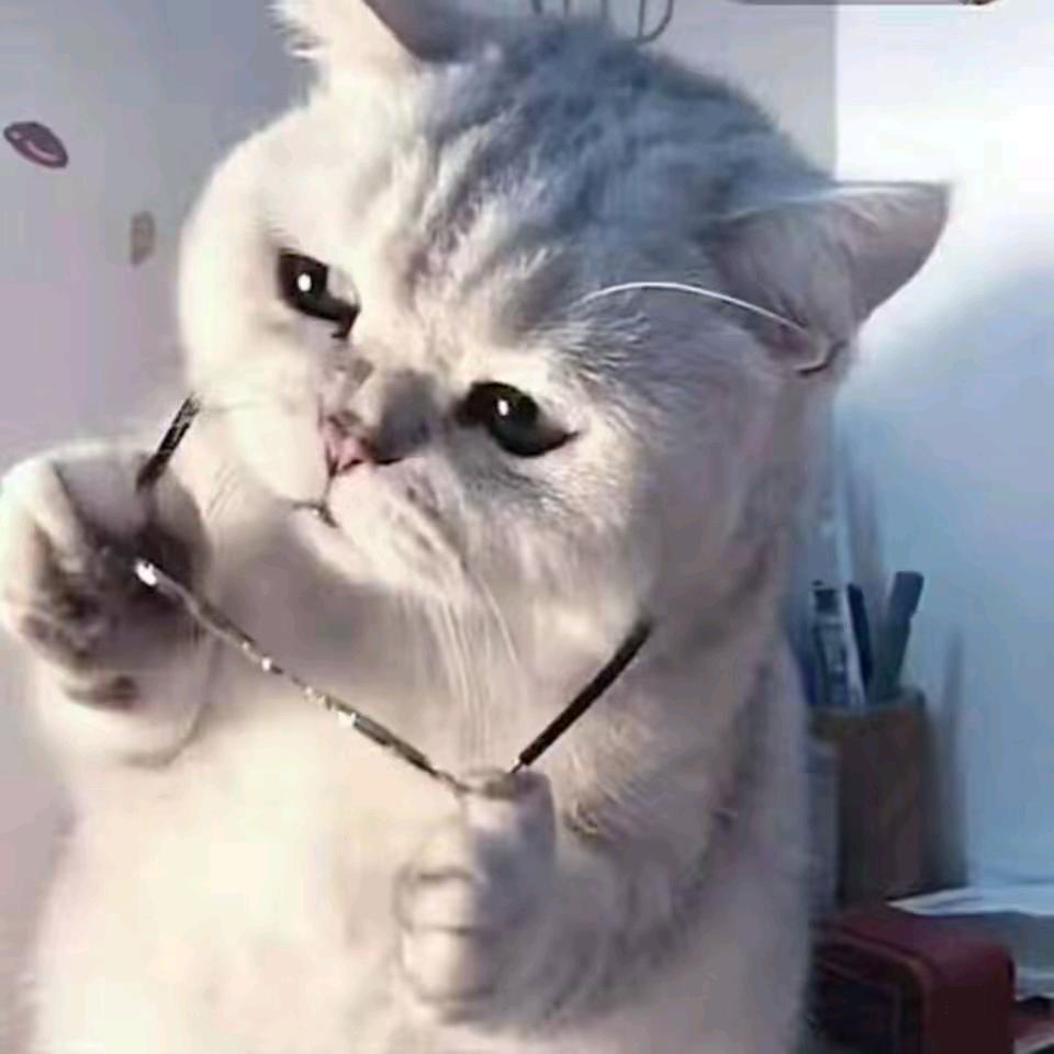 陌