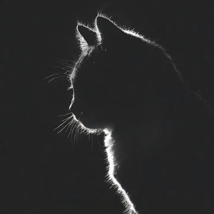 失眠患者