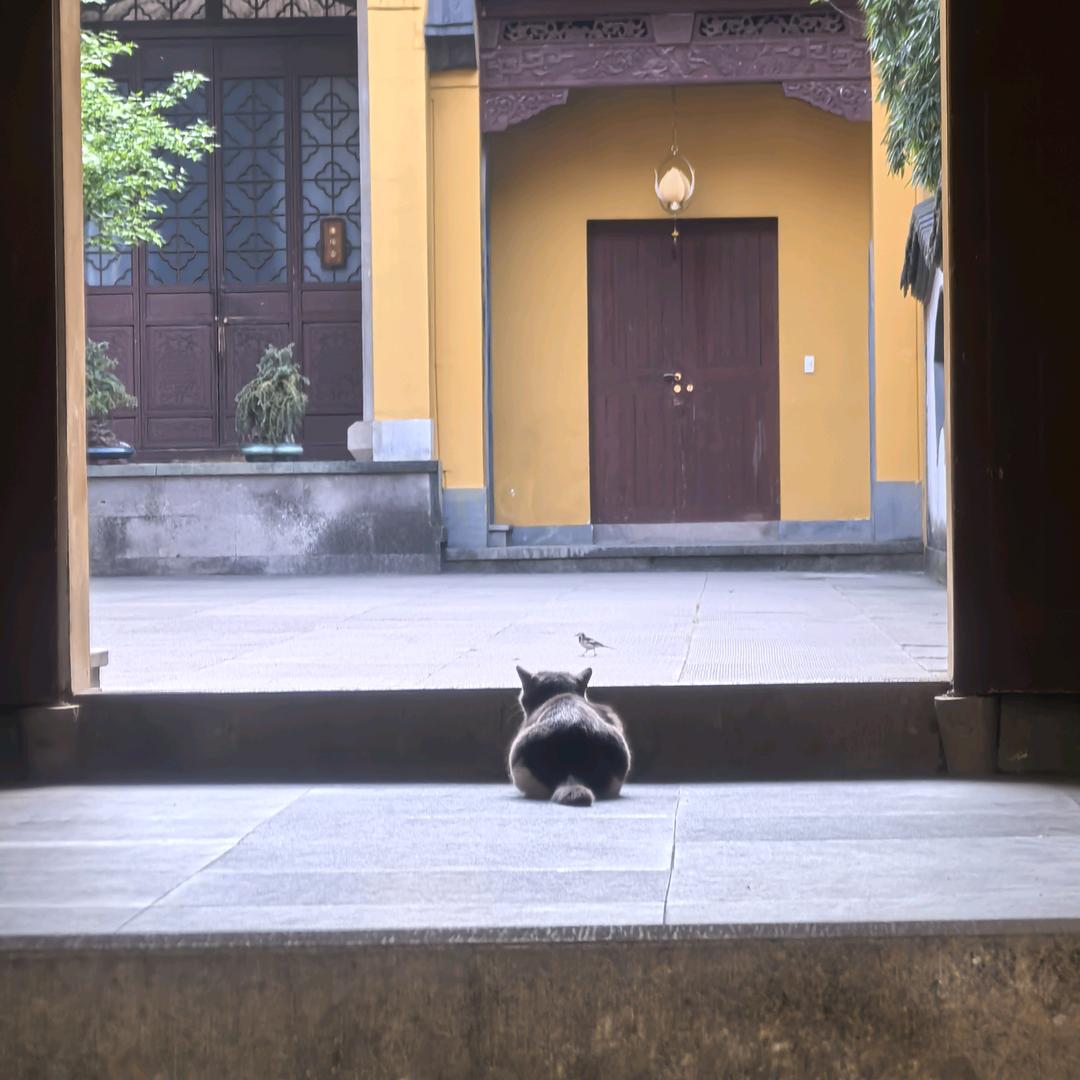 小天～