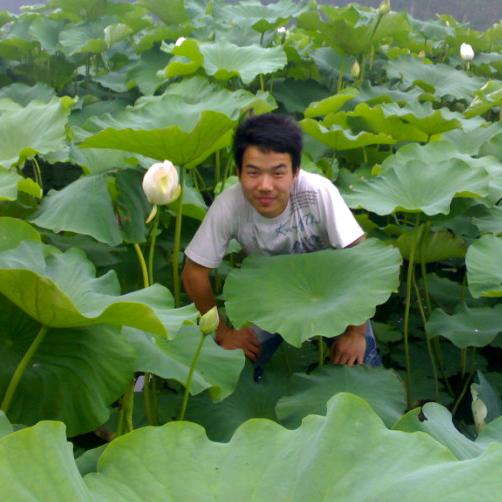 吳李❆取闹