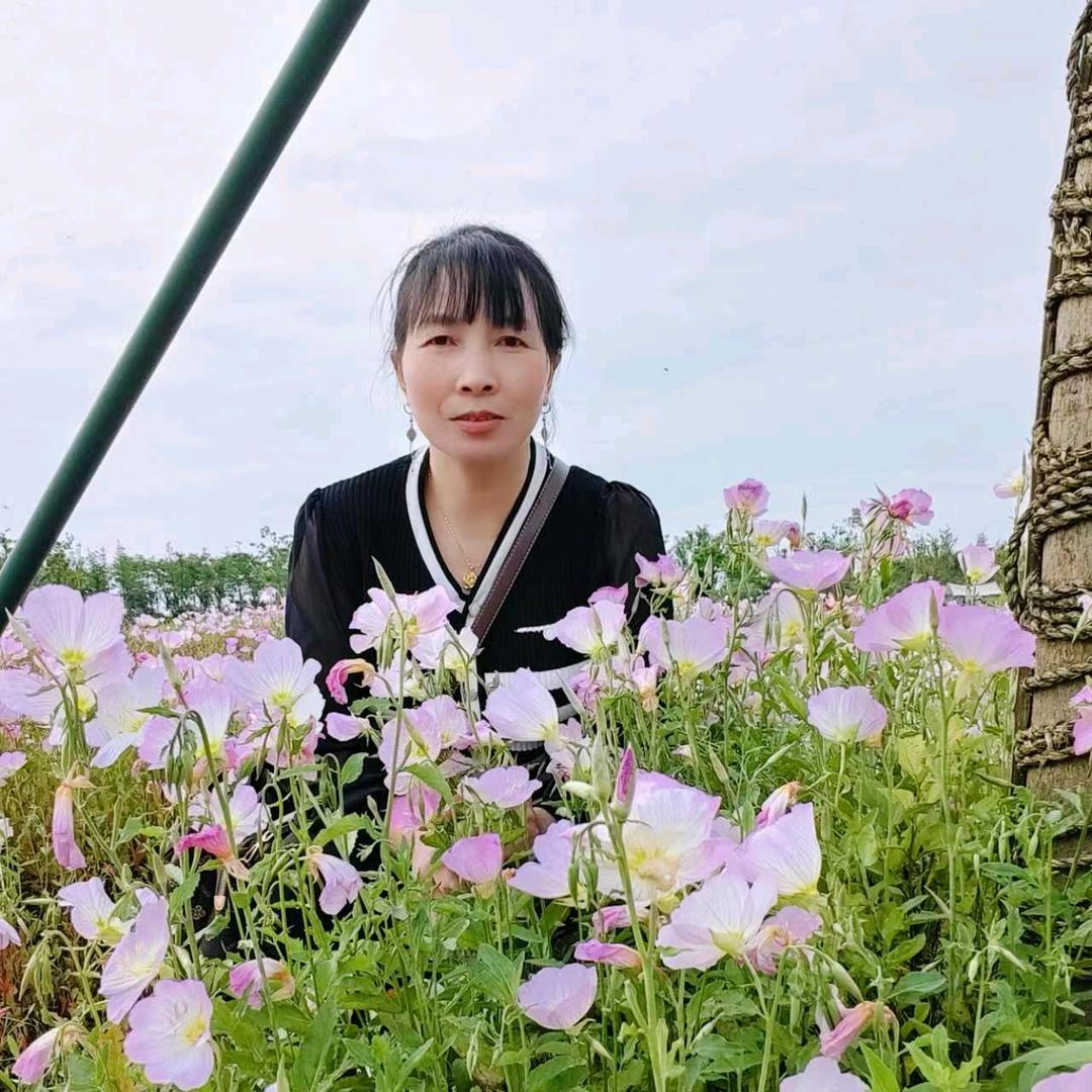 一生快乐（张）