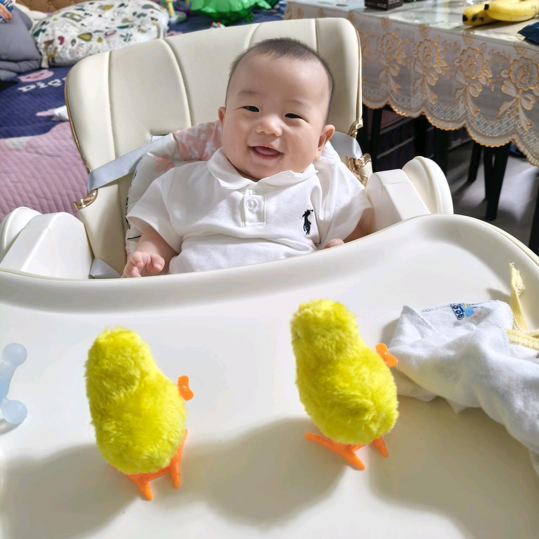 小团团成长日记