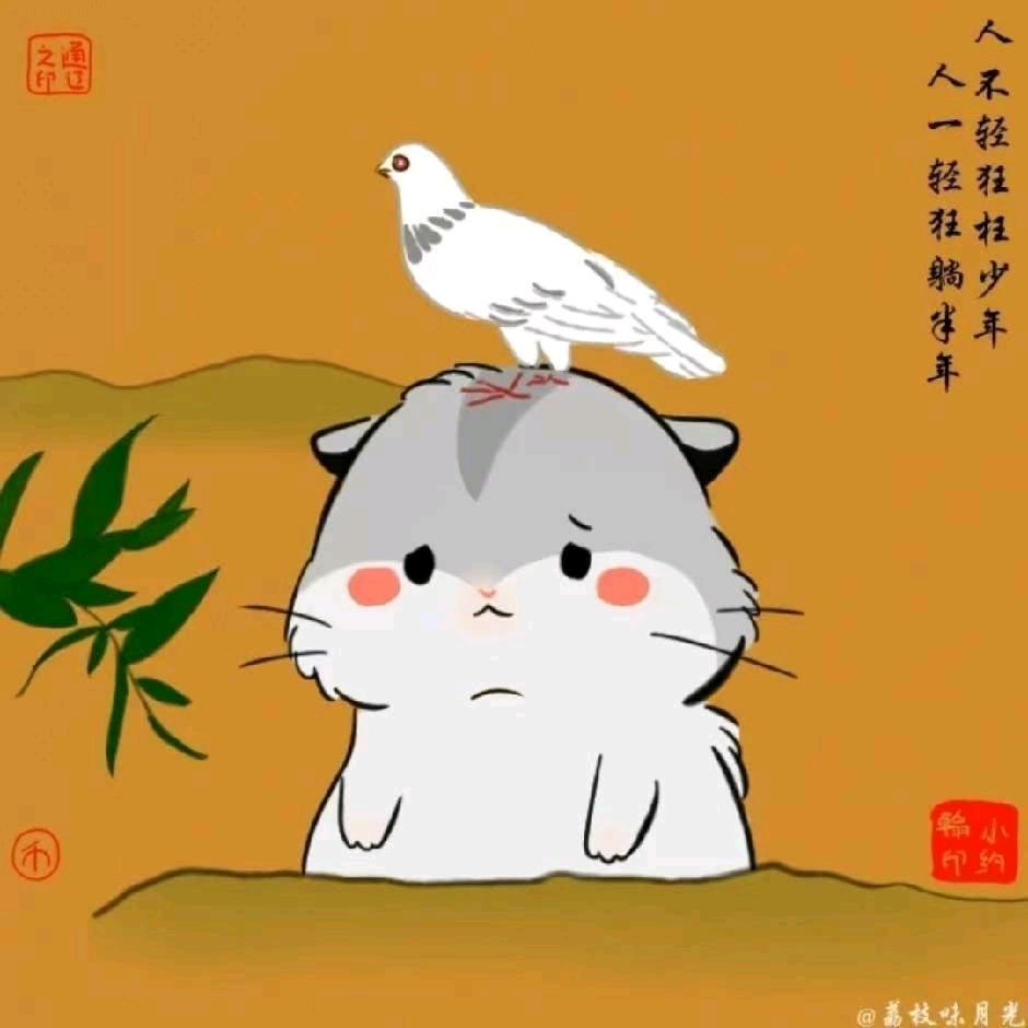 不知道