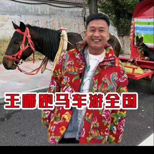 王哪跑（马车游全国）