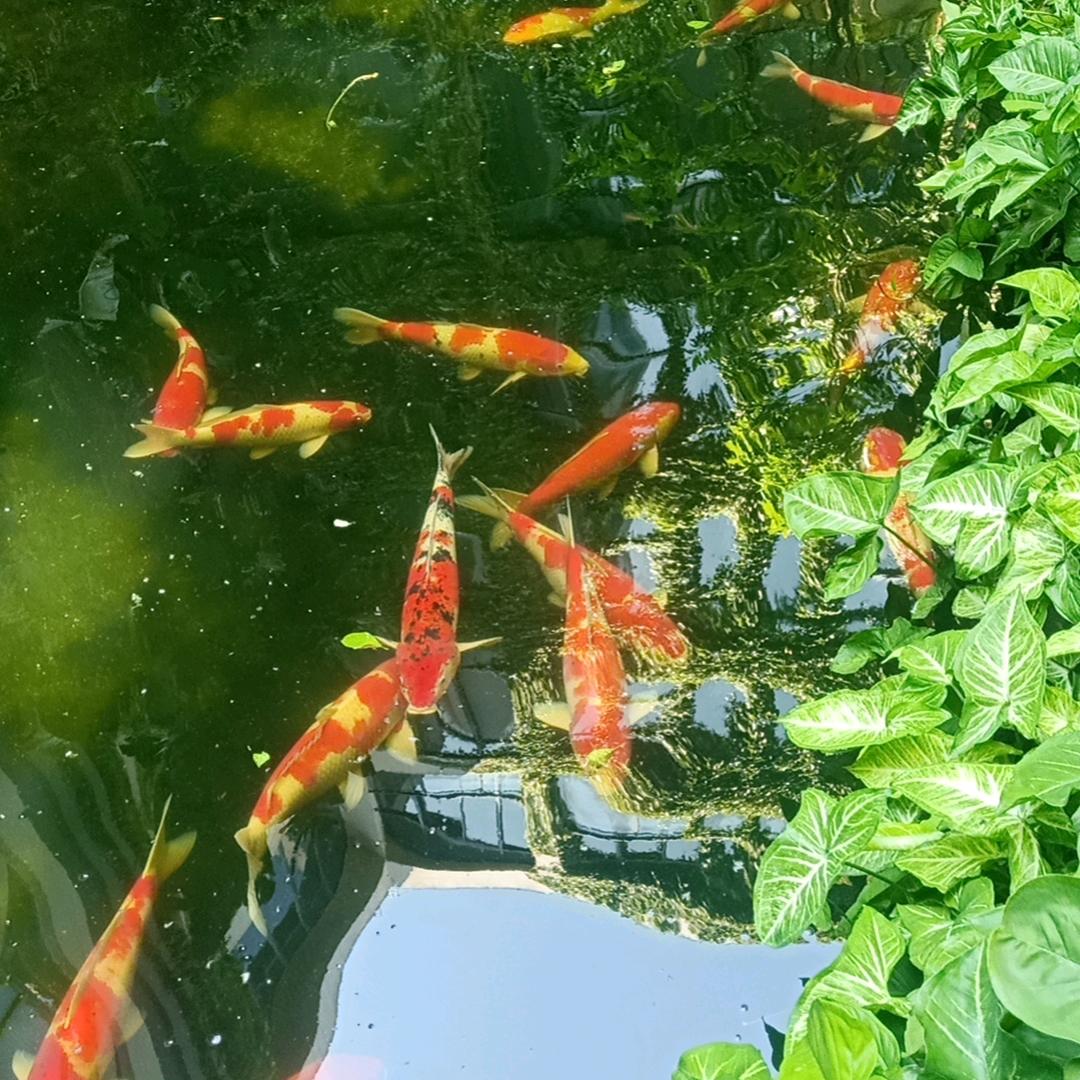路过的人