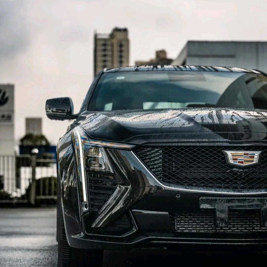 凯迪批发市场阳哥