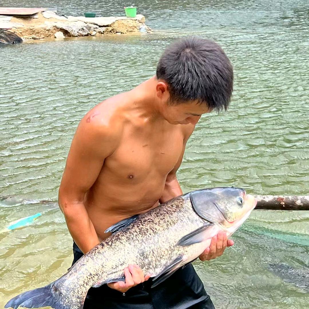 仙井坑鲢鳙钓场