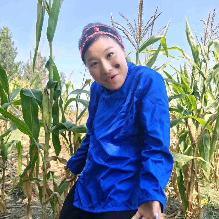 春节（好物分享）减肥号