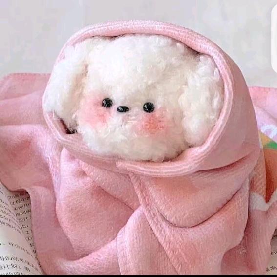 小小布丁🍮