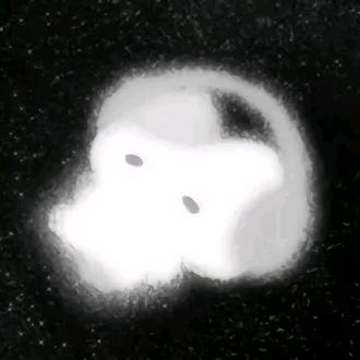 因为怕痛所以全点宅属性