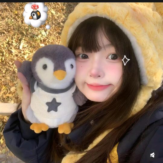 •popo