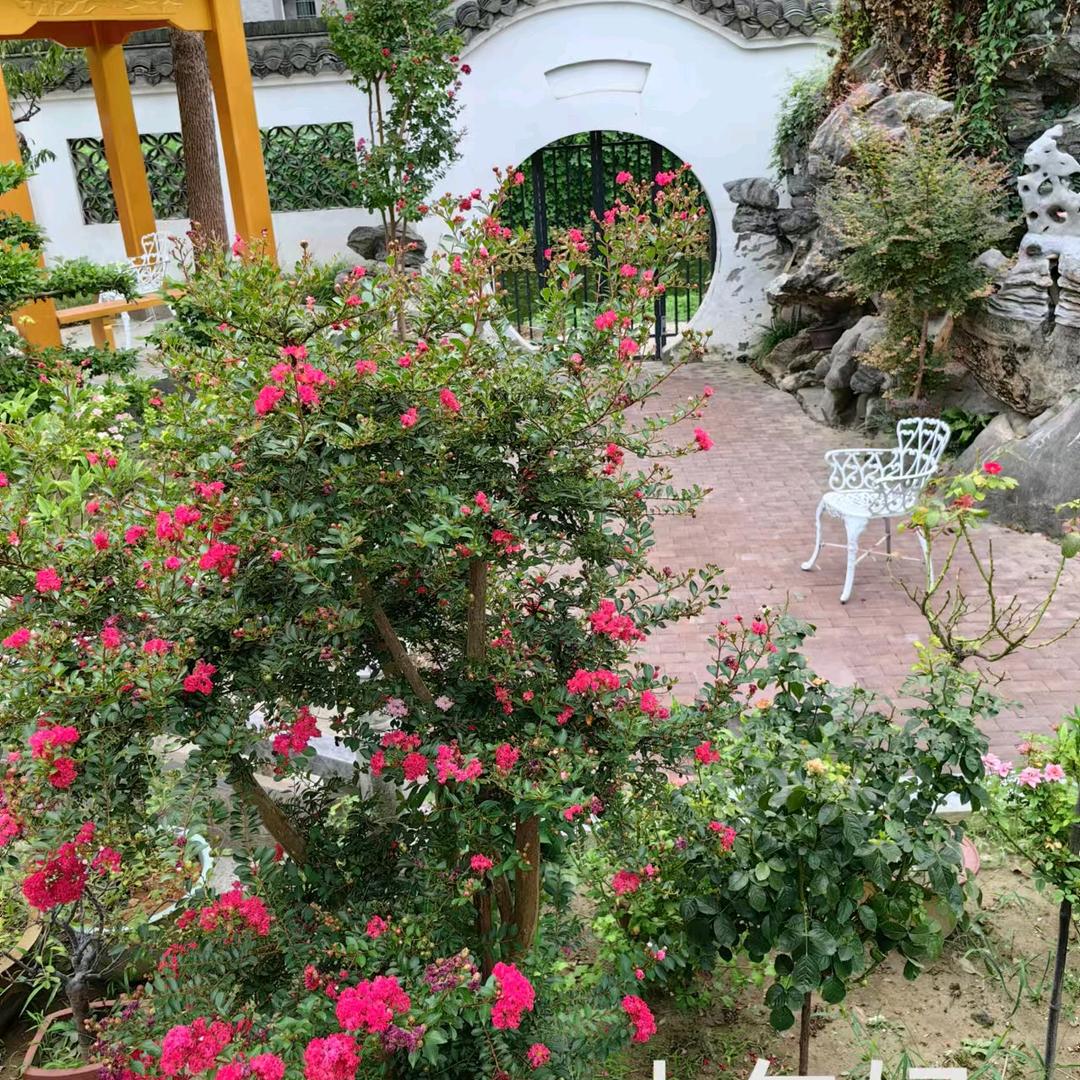 岁月静好