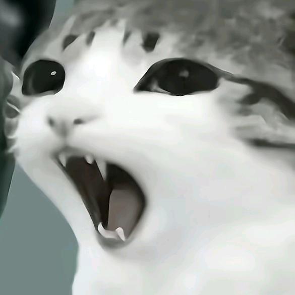 evz