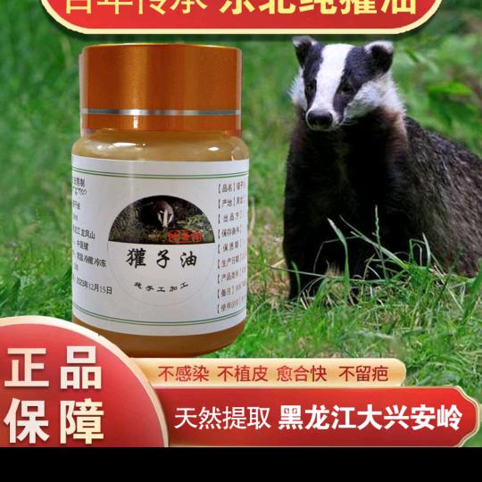 东北獾子油。