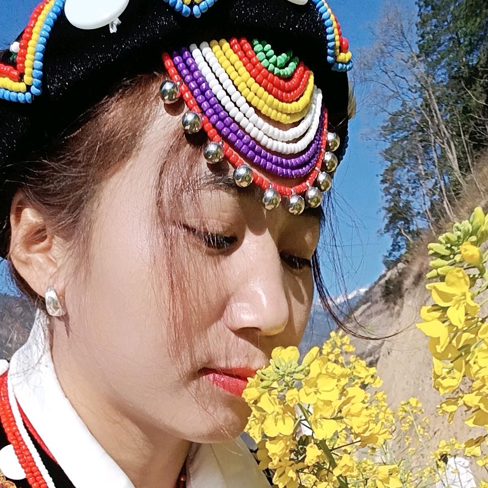 美丽蜂