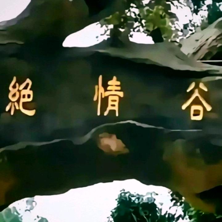 绝情谷的情人