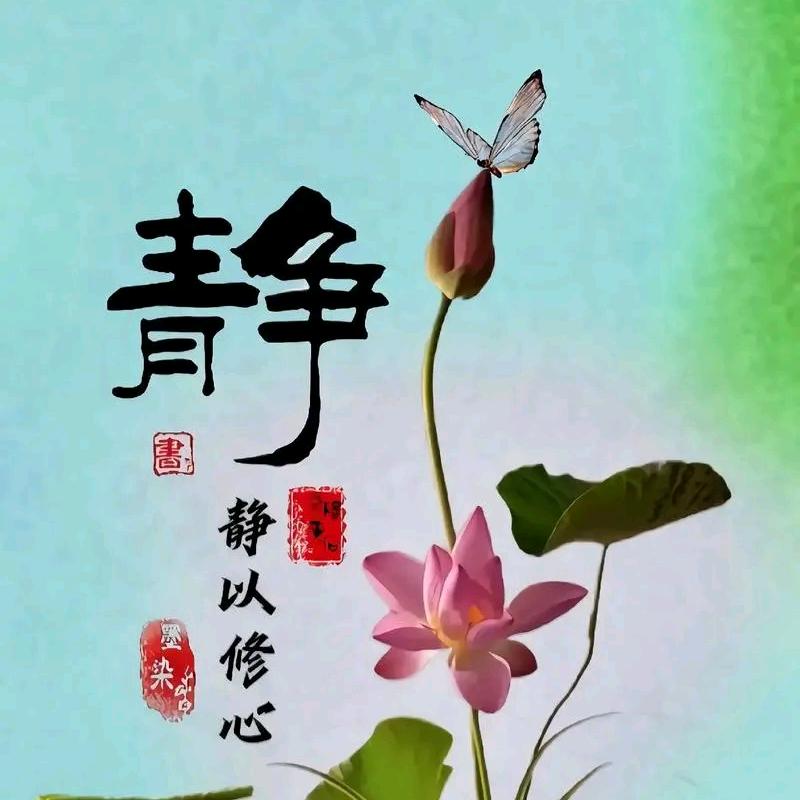 静