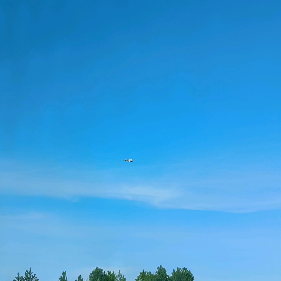 我心飞扬
