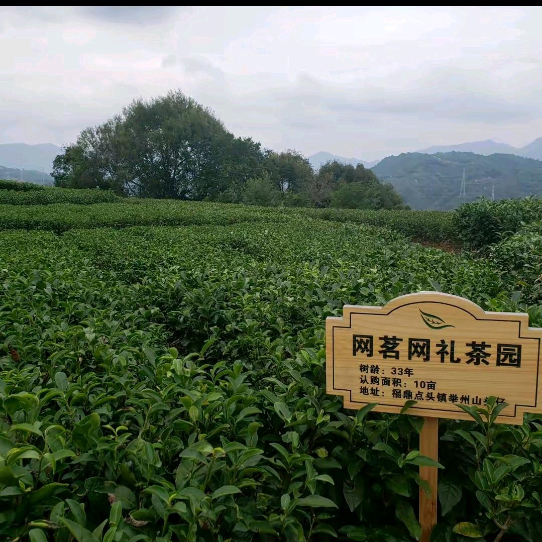大管家99999