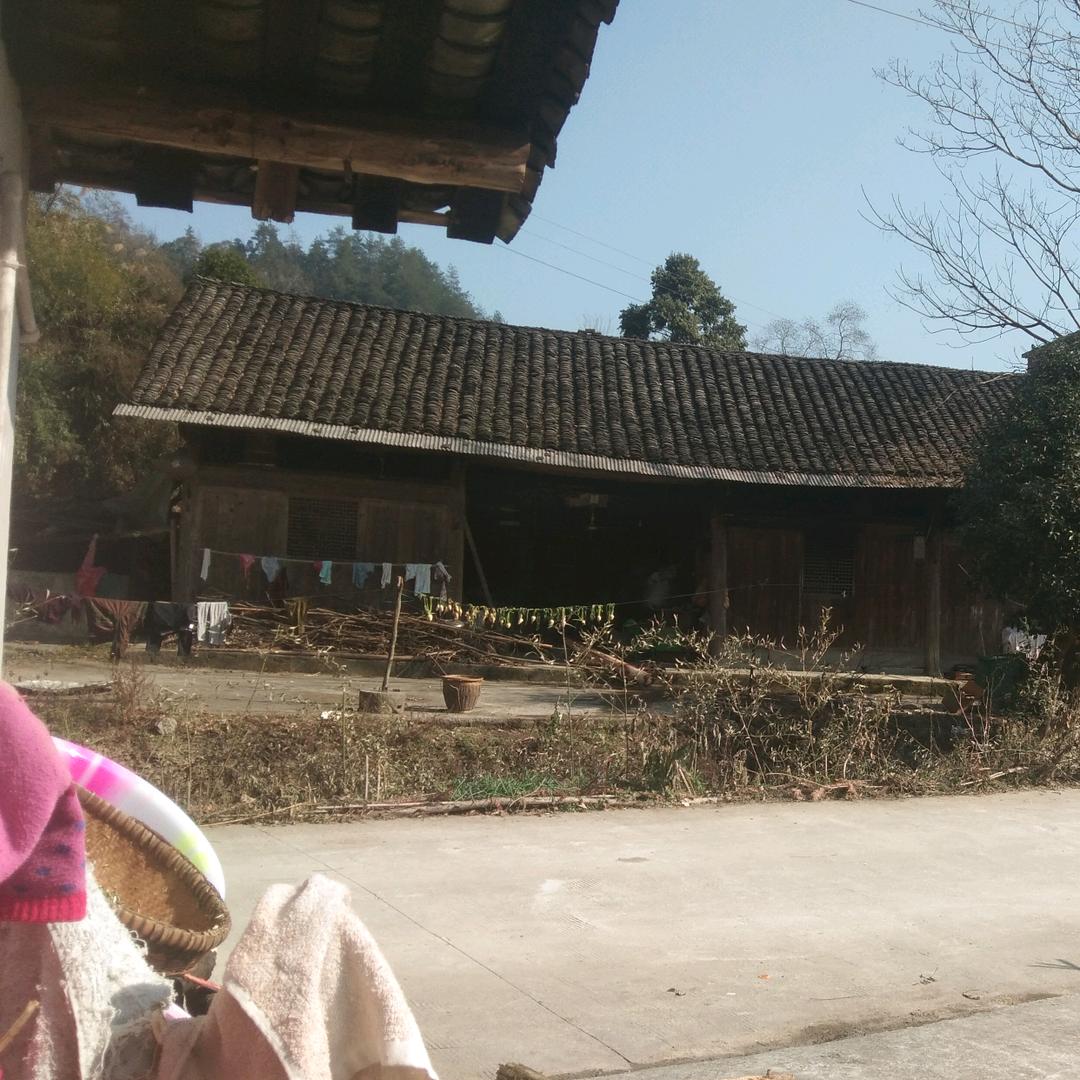 无聊拍抖音农村生活曰子