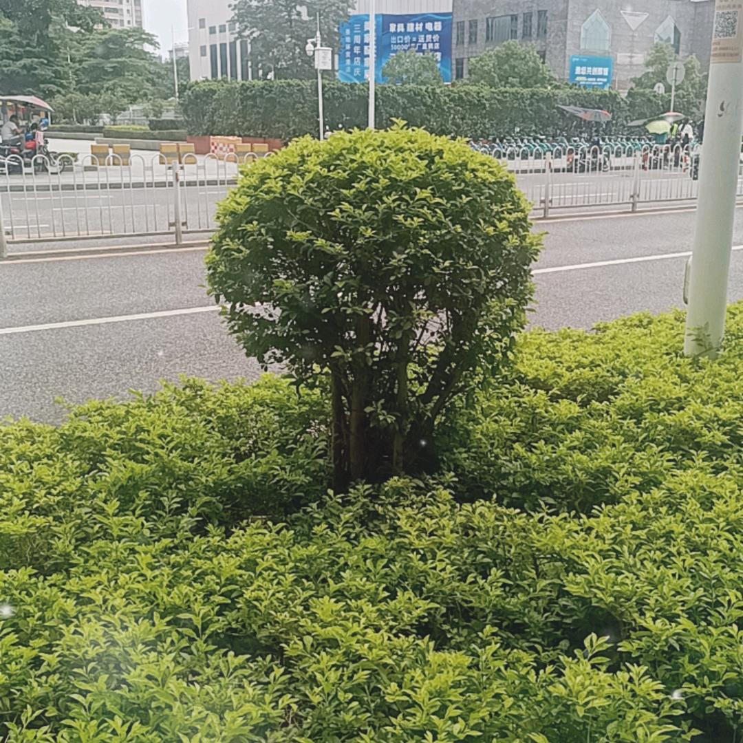 刘贤