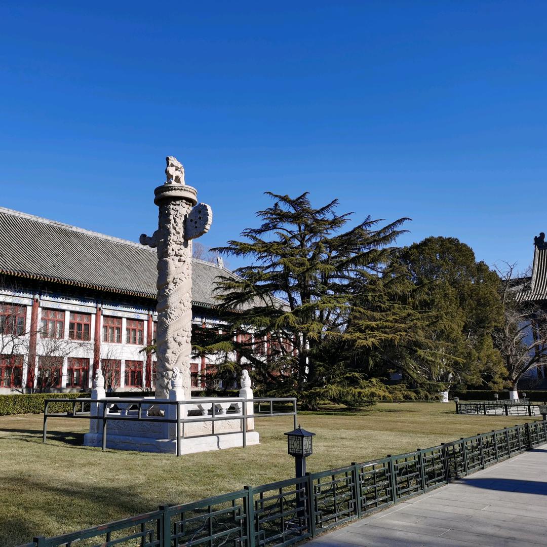 暗区指挥官 🌨