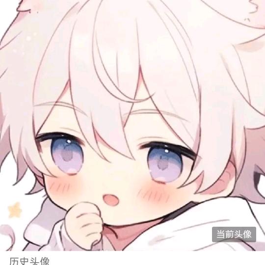 老宝
