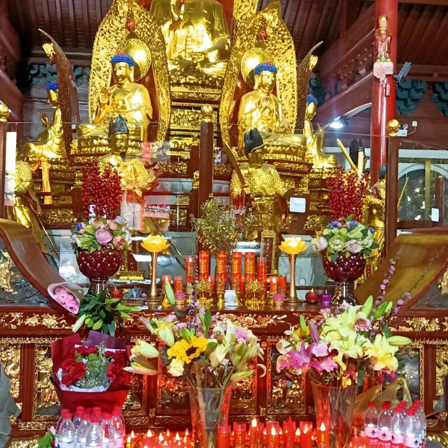 用户3913463971519真心不悔