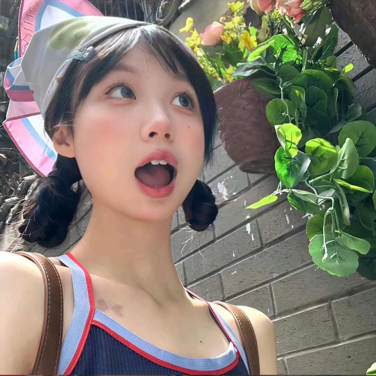 摘月亮的人