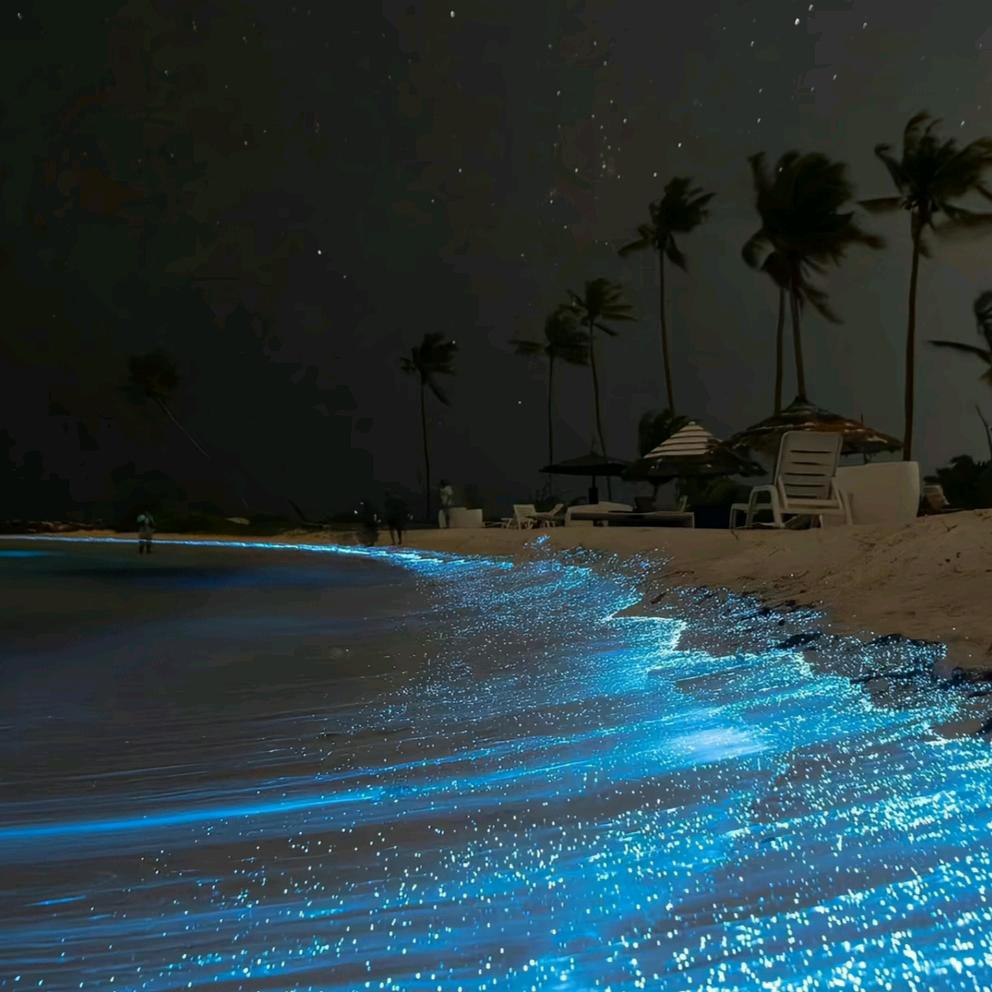 ℳ̶̶̶̶♡̶҉晚风ℳᥫᩣ