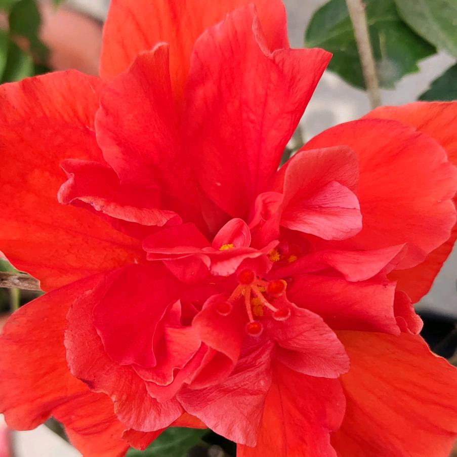 ღ💞এ᭄爱而不得🌺ོꦿ࿐