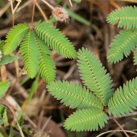 想爱你，找不着