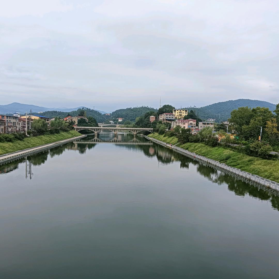 胡集麻鸭小周