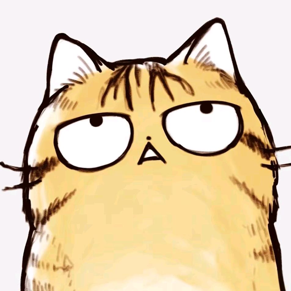小鱼猫