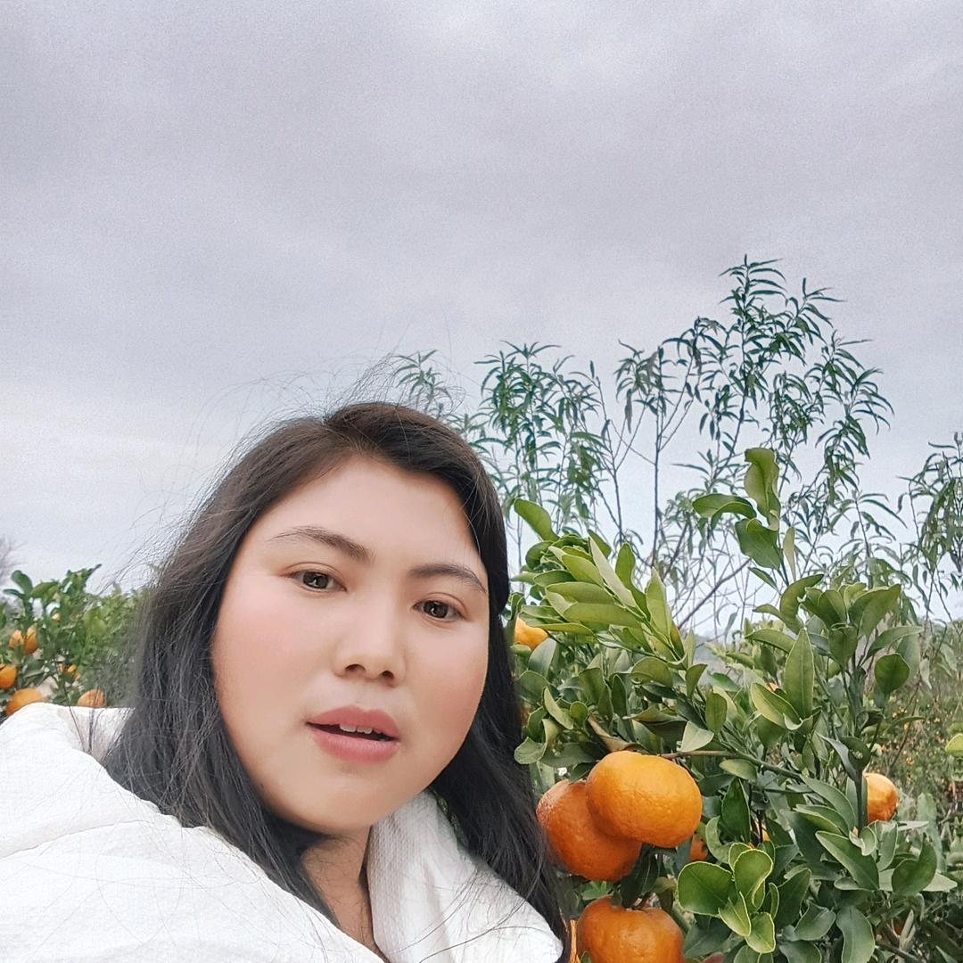 小慧（筹备直播中）