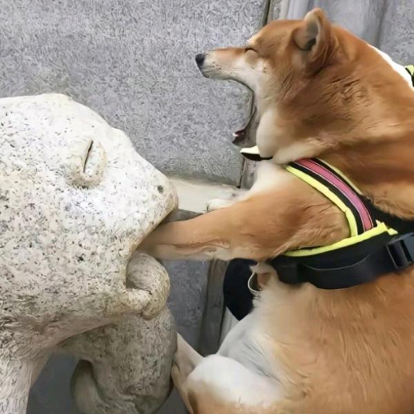 上山（重名加后缀）